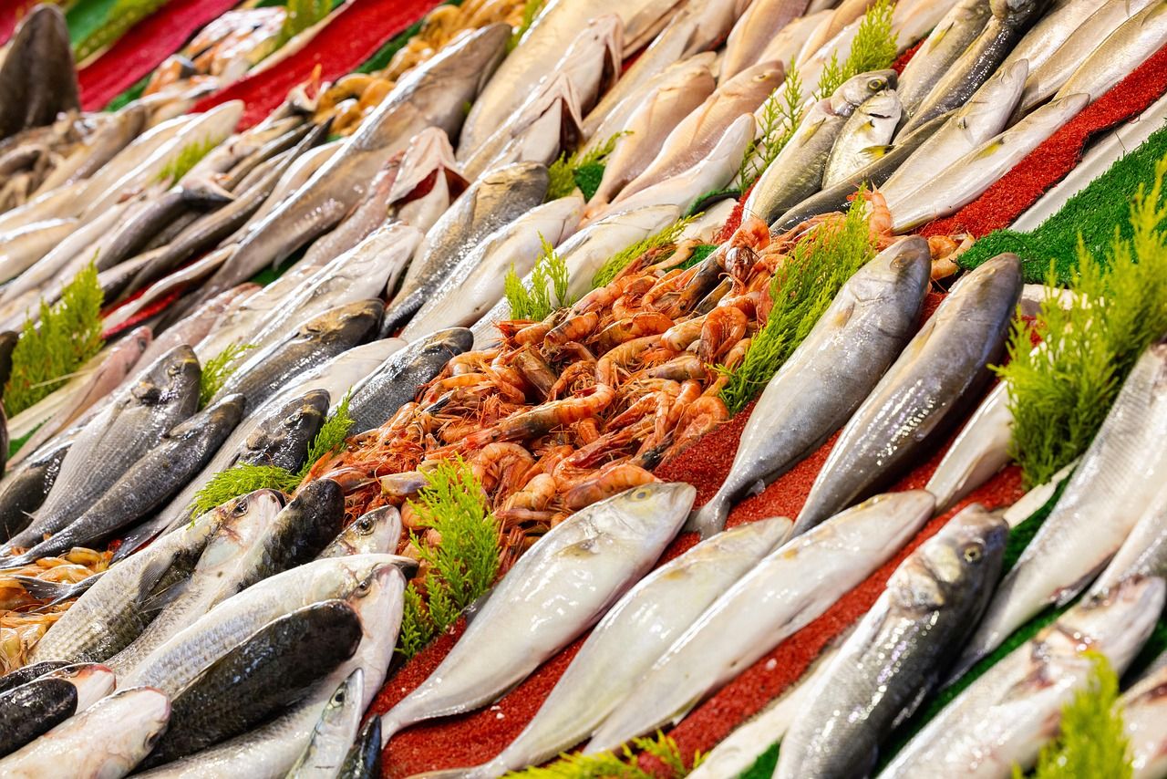Anchovy Fish Cleaned H&S