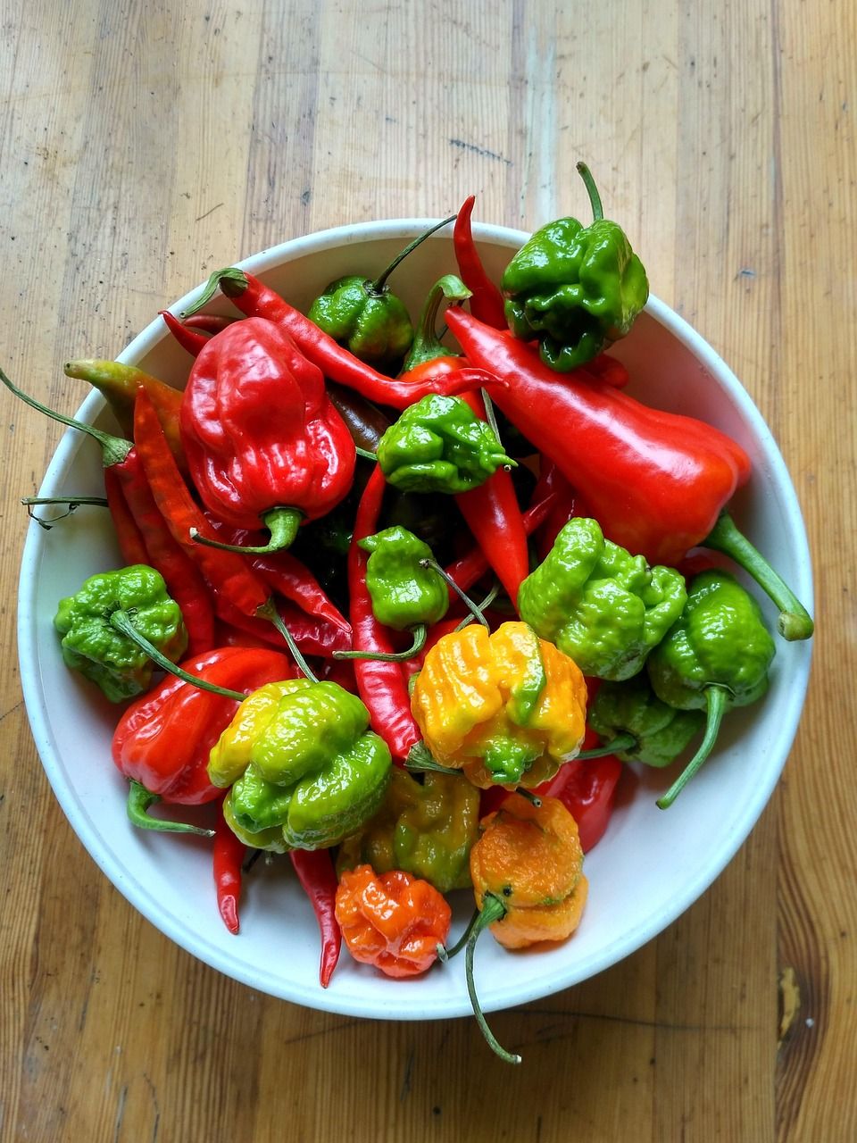 Habanero Pepper 8lb