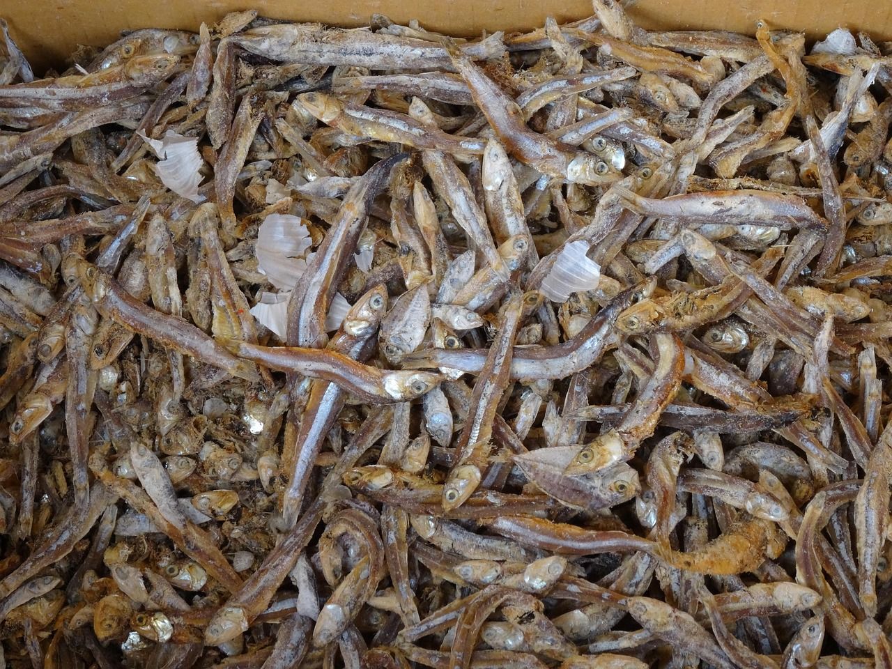 Kini Dry Fish