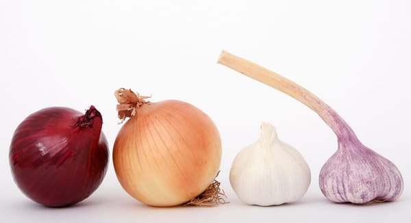 Yellow Onion