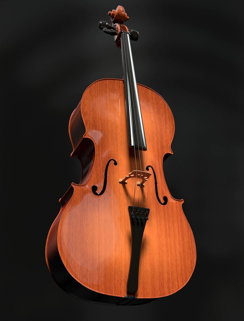 InsulatedHotPot Cello 2500mL