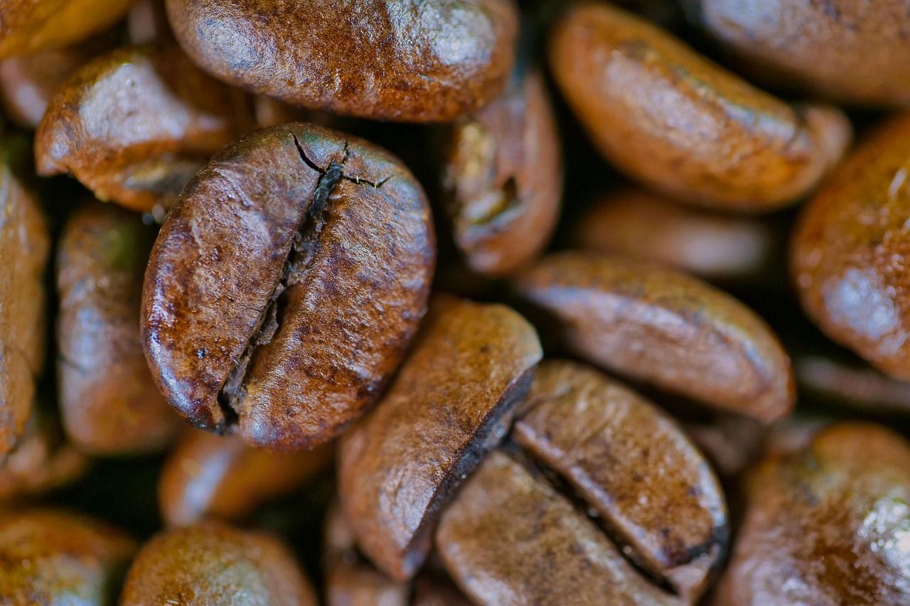 Brown Beans 20lb