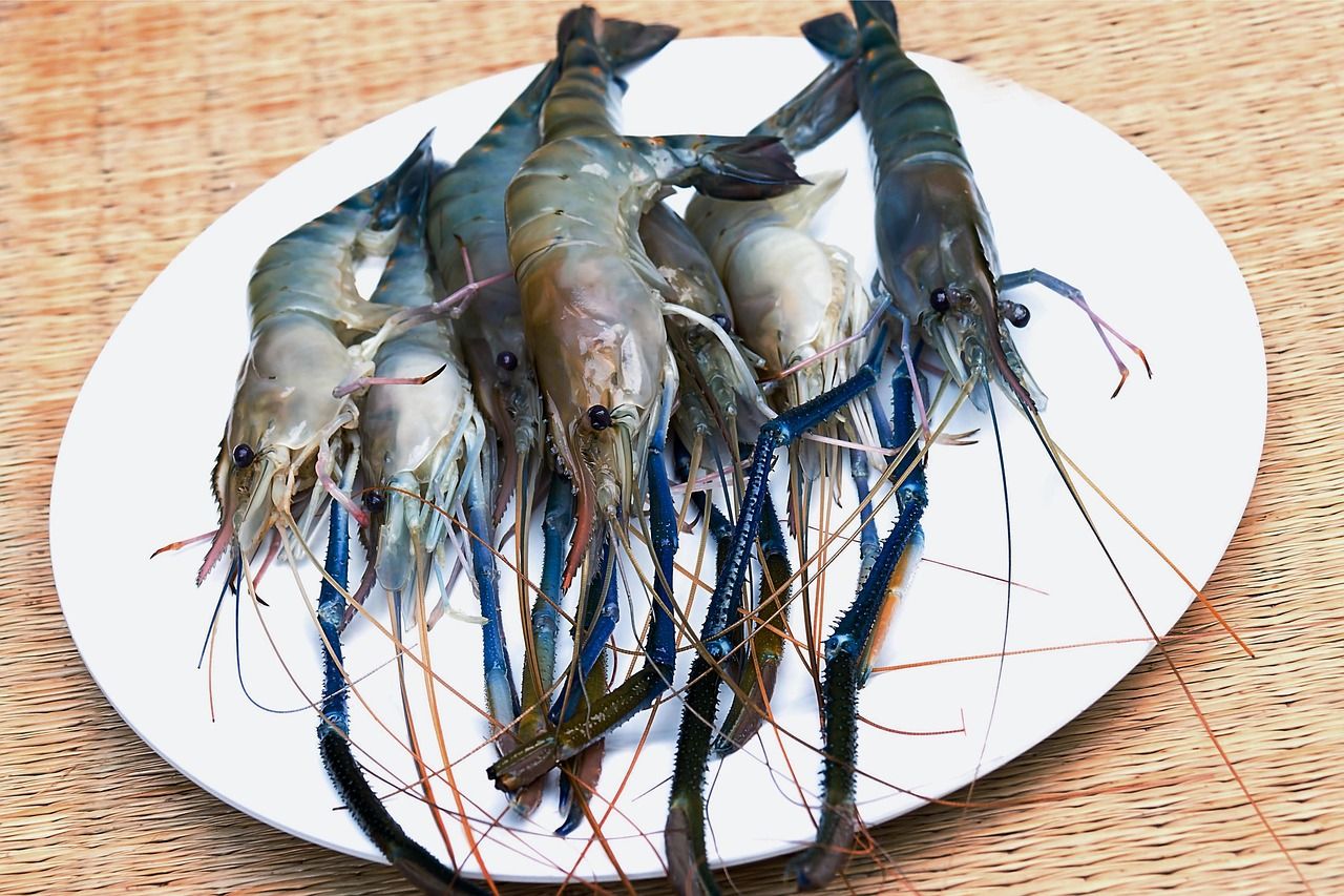 Raw Shrimp Prima Star 2lbs
